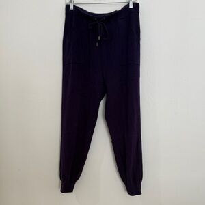 Chico's Women's Dark Purple Jogger Pants